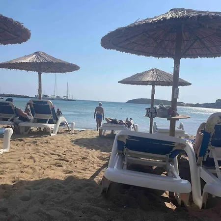 Relax With A View باتسي